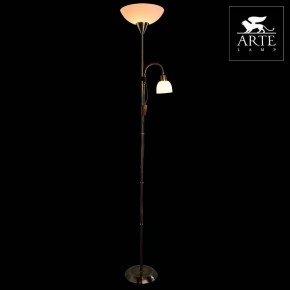 Торшер с подсветкой Arte Lamp Duetto A9569PN-2AB в Краснокамске - krasnokamsk.mebel24.online | фото 3
