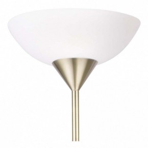 Торшер с подсветкой Arte Lamp Duetto A9569PN-2AB в Краснокамске - krasnokamsk.mebel24.online | фото 5