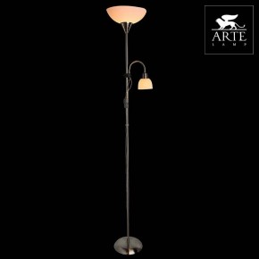 Торшер с подсветкой Arte Lamp Duetto A9569PN-2SS в Краснокамске - krasnokamsk.mebel24.online | фото 3