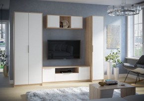 Тумба под ТВ Нордик в Краснокамске - krasnokamsk.mebel24.online | фото