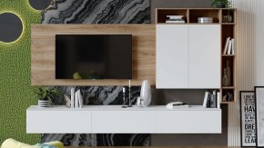 Тумба под ТВ Порто ТД-393.03.12 в Краснокамске - krasnokamsk.mebel24.online | фото 6