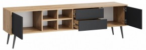 Тумба под ТВ Тип 5 в Краснокамске - krasnokamsk.mebel24.online | фото 2