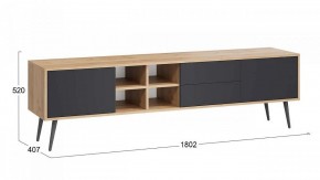 Тумба под ТВ Тип 5 в Краснокамске - krasnokamsk.mebel24.online | фото 6