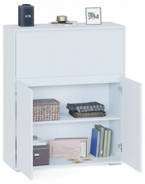 Тумба СПМ-310 в Краснокамске - krasnokamsk.mebel24.online | фото 2