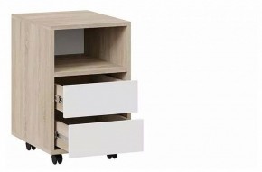 Тумбочка Тип 14 в Краснокамске - krasnokamsk.mebel24.online | фото 2