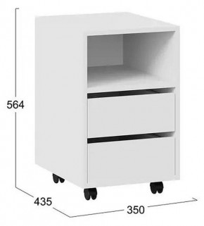 Тумбочка Тип 14 в Краснокамске - krasnokamsk.mebel24.online | фото 4
