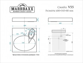 Умывальник над стиральной машиной (600*545*80) Смайл V55D1 (белый) с кронштейном без сифона (V55D1) в Краснокамске - krasnokamsk.mebel24.online | фото 2