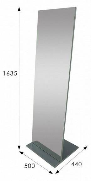 Зеркало напольное Стелла 2 в Краснокамске - krasnokamsk.mebel24.online | фото 9